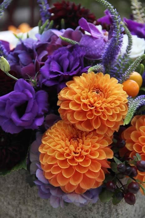 Photo: Stunning orange and purple flowers a favorite on Pinterest. Are they a favorite with you?