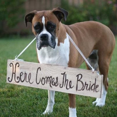 Photo: Hot on Pinterest: The cutest "Here comes the bride" announcer we